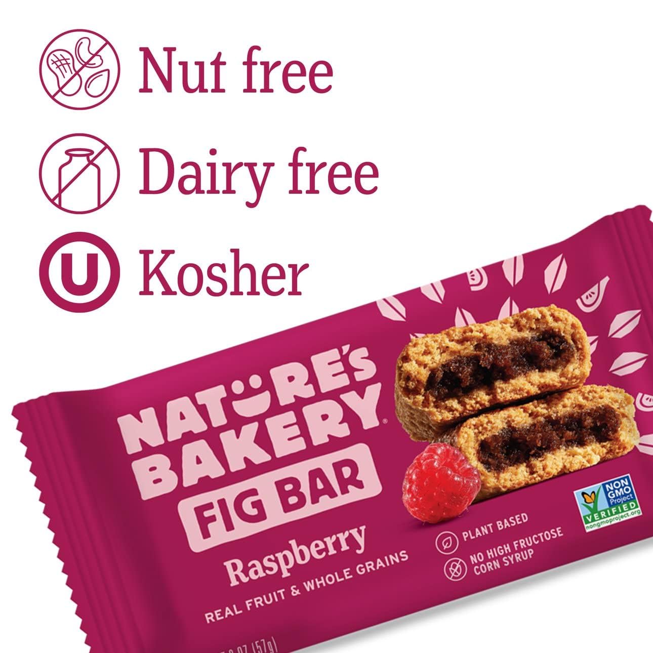 Iron Shield Natures Bakery Whole Wheat Fig Bars - 32 Twin Packs (16 Blueberry, 16 Raspberry) - 1 Count