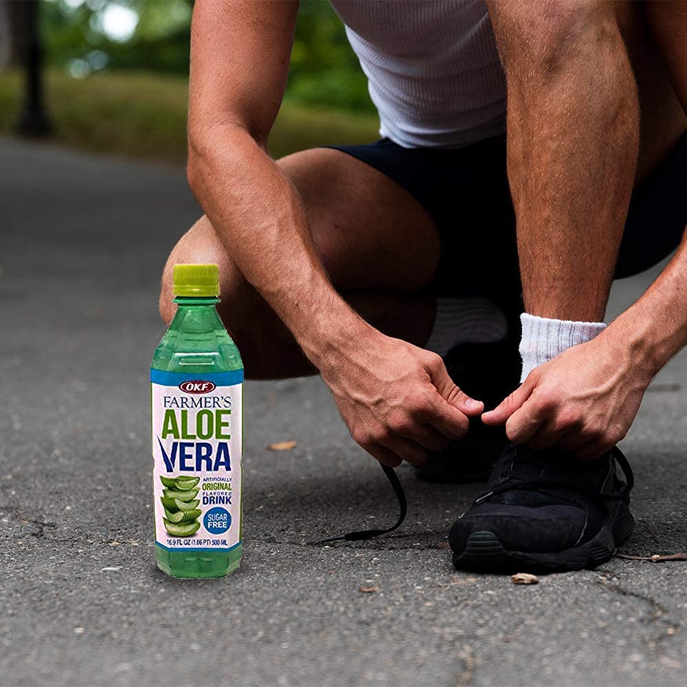 Aloe Vera King (Sugar Free) - 16.9 Fl Oz (Pack Of 10)