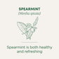 Traditional Medicinals Tea, Organic Spearmint, Supports Everyday Wellness, Healthy & Refreshing - 48 Tea Bags