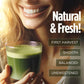 Vitacup Hydration Matcha Instant Packets, For Natural Energy And Detox, W/Electrolytes, Ceremonial Grade Organic Matcha, Coconut