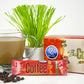 Bio Coffee- NEW! - First Organic Instant Non-dairy Alkaline Coffee (12 Sachet Box)