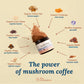 Live Conscious Superfood Coffee Alternative - Low Caffeine, Mushroom Complex - 30 Servings (3-Pack)