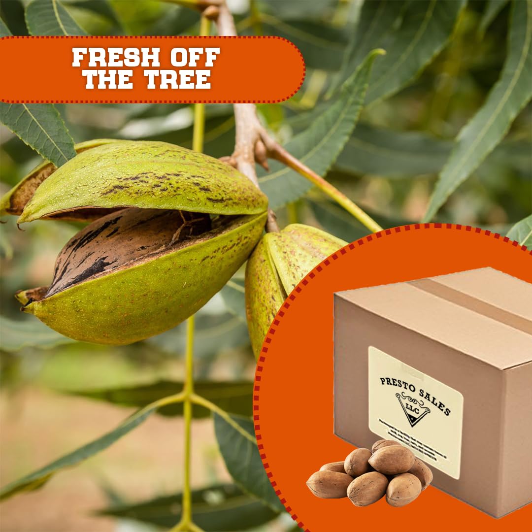 Presto Sales Llc Pecans, Flavorful In Shell, New Crop Unshelled Fresh, Easy To  , Healthy Snack, Dietetic, Vegan, And Calcium | Perfect For Vegans, Weight Control Diets | 10 Lbs. (160 Oz.)