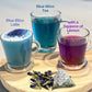 DelighTeas Organic Butterfly Pea Flower Tea with Ginger & Lemongrass, 16 Pyramid Tea Bags, USDA Organic, Vegan, Caffeine Free