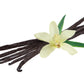 LorAnn Organic Madagascar Vanilla Bean Paste, 16 ounces