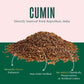 Vahdam, Cumin Powder (2.47Oz/70G) 100% Raw Whole Cumin Ground (Cuminum Cyminum L.) Adds Flavor And Taste | Direct From Source