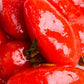 Bianco Dinapoli Whole Peeled Organic Tomatoes, 28 Oz