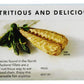 Wild Planet, Mackerel Wild Fillets Olive Oil, 4.4 Ounce