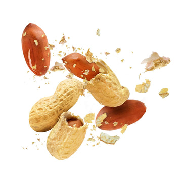 Fruidles Raw Peanuts, Raw Peanuts In Shell, Great For Boiling, Squirrels Feed, Birds Feed And Wildlife, 12 Pound Bag (4-Pack)