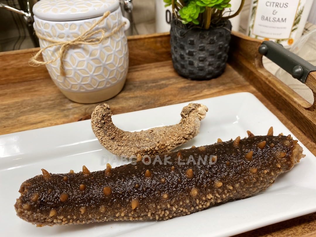 DABC OAK LAND Alaska Red Sea Cucumber, Grade AAAA, 16 oz, Sun Dried, Nutritious, Rich in Protein, Vitamins & Minerals, Medium Gift Bag