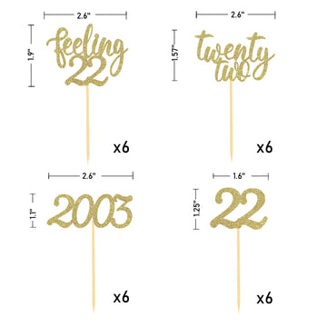 24Pcs Feeling 22 Cupcake Toppers, Twenty Two Birthday Cake Decorations, Cheer To 22 Years Old Theme Party Decoration Supplies (G