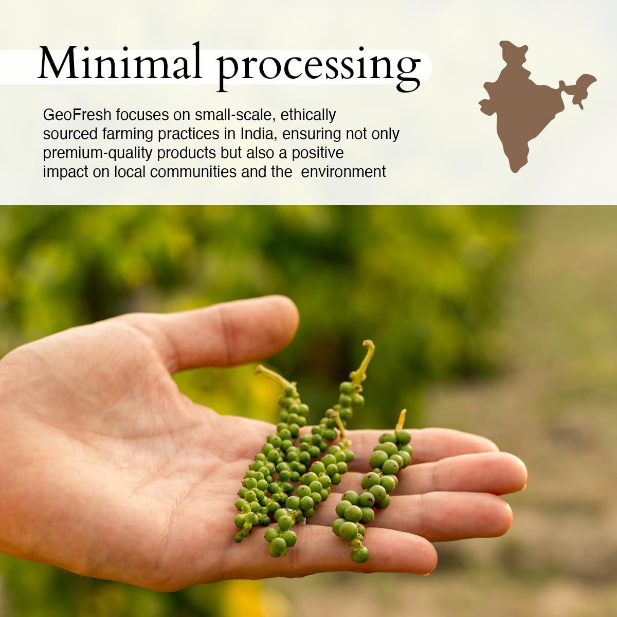 Geo-Fresh Organic Black Pepper Powder, Non-GMO, Gluten Free, 1.94 oz