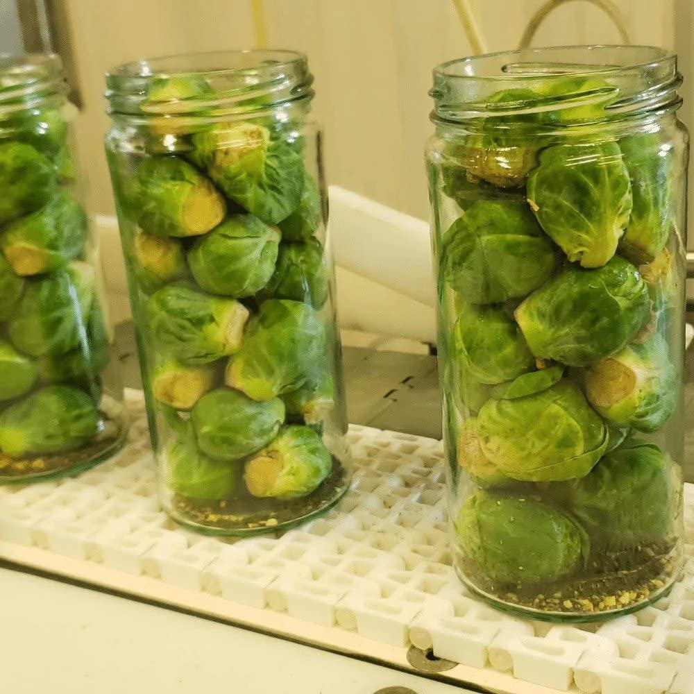 Fosters Pickled Brussel Sprouts in a Jar, Original, 16oz, 2 Pack, Traditional Pickled Vegetables Recipe for over 40 years, Low