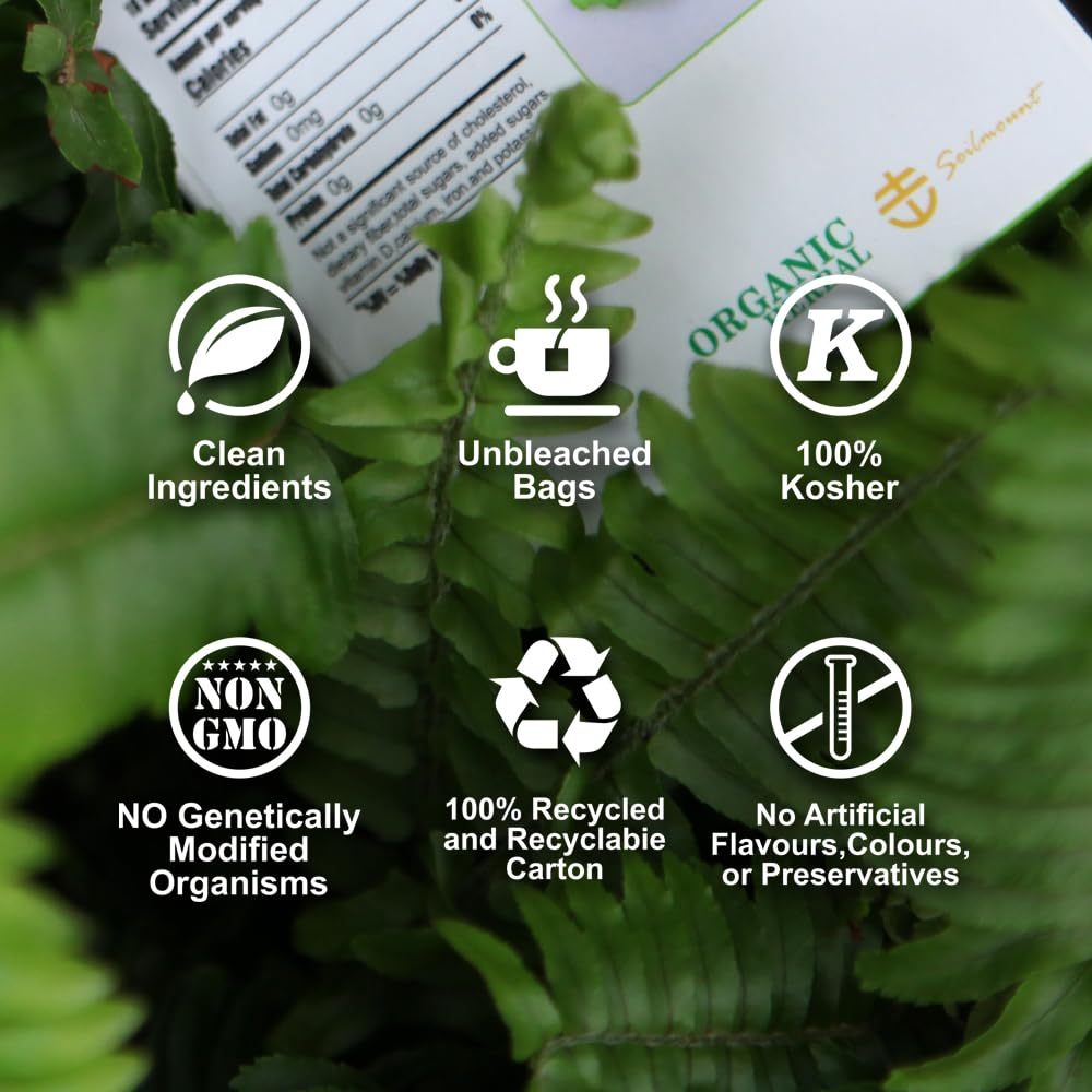 Soilmount Chinese Mugwort Tea - 100% Natural Loose Leaf - Caffeine-Free - 18 Bleach-Free Tea Bags