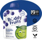 Buddy Fruits Snacks To Go Blueberry Unsweetened Applesauce 3.2Oz Pouch (18Pk) Gluten-Nut-Dairy-Preservatives-Bpa Free, Non Gmo,