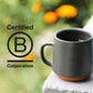 Counter Culture Coffee - Fresh Roasted Certified Organic Whole Bean Coffee (Kosher) (Even Keel Double Pack)