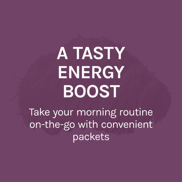 Host Defense, Mycobrew Mocha Drink Mix, Supports Energy And Focus, With Lion’S Mane Mushroom, 5Oz - 10 Packets (0.5Oz Each)