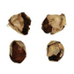 2-3'' Natural Cacho Pods 60/Cs