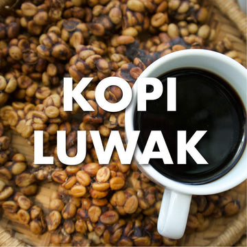 Kopi Luwak Coffee, Sustainably Sourced, World'S Most Expensive Coffee, Whole Bean, Fresh Roasted, 16-Ounces