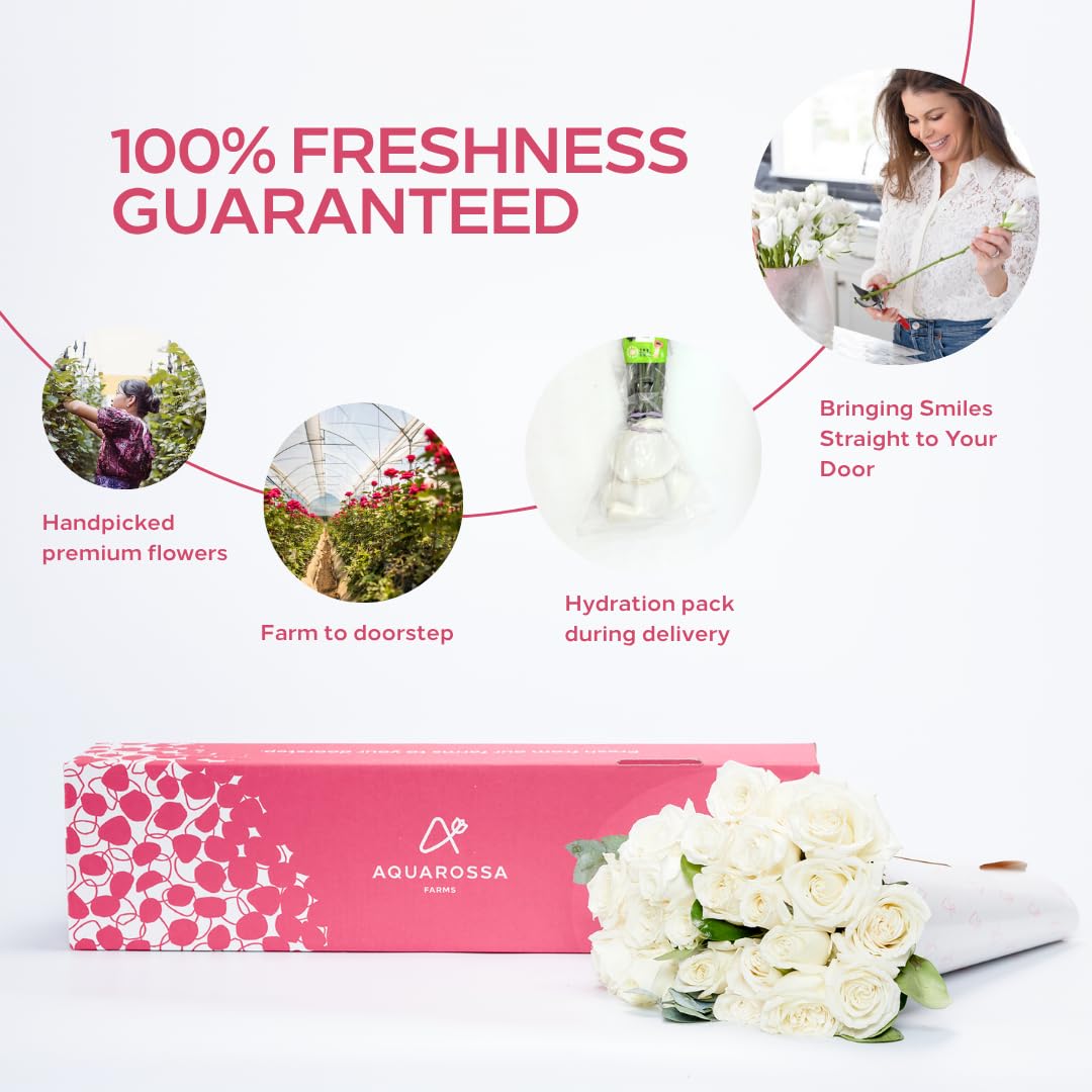 Aquarossa Farms - 24 White Roses, Fresh Flowers For Delivery, Flower Fresh Bouquet, Gift Idea For Graduation, Birthday, Annivers