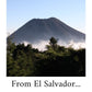 Don Leo Coffee From El Salvador - Ground