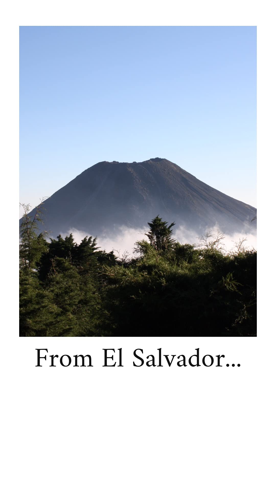 Don Leo Coffee From El Salvador - Ground