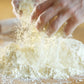 Jovial Organic Einkorn All Purpose Flour - High Protein, Non-GMO, 32 Oz, Bread Baking Flour, Model BG14654