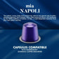 Caffè Borbone Aluminum Coffee Pods for Nespresso, Rich Italian Coffee, 100 Count (10 packs of 10), Not compatible with Vertuo machines