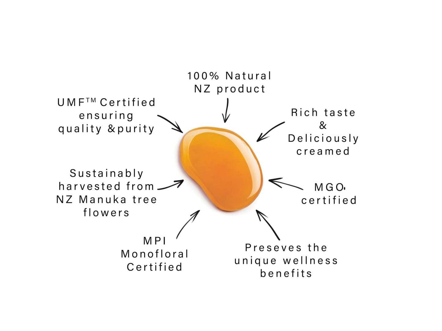 Manuka Honey Umf 10+ (Mgo 261+) Pure New Zealand Honey, 1.1 Lb (500G)