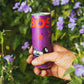 BOS Rooibos Iced Tea Berry - Organic, Caffeine Free, Antioxidant-Rich, 24x (6x 10.1 oz Cans)