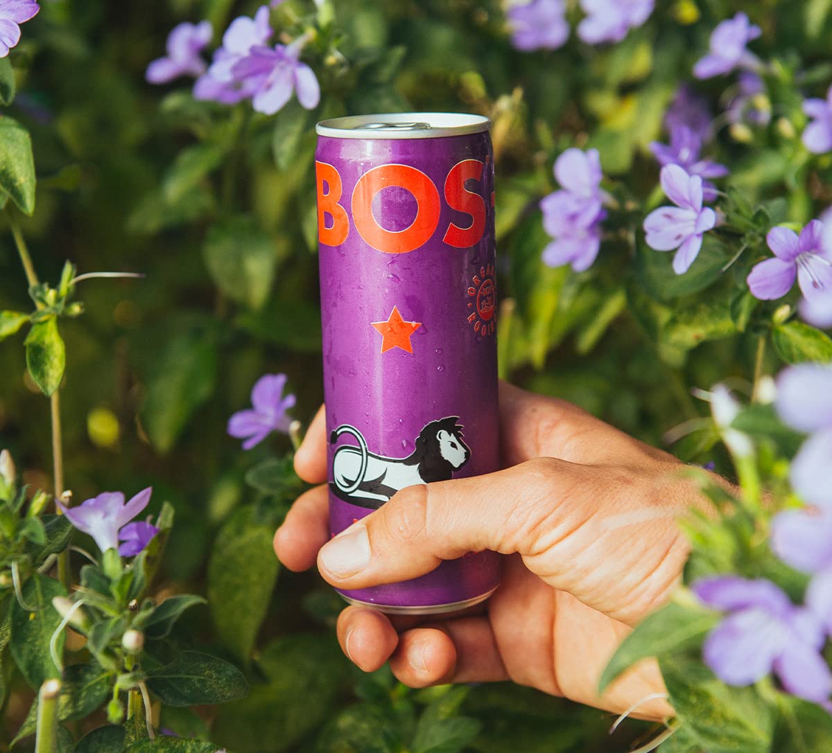 BOS Rooibos Iced Tea Berry - Organic, Caffeine Free, Antioxidant-Rich, 24x (6x 10.1 oz Cans)