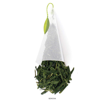 Tea Forte Sencha Premium Organic Caffeinated Green Tea Blend Event Box, Bulk Pack 40 Count, 10 Per Tray Individually Wrapped Han