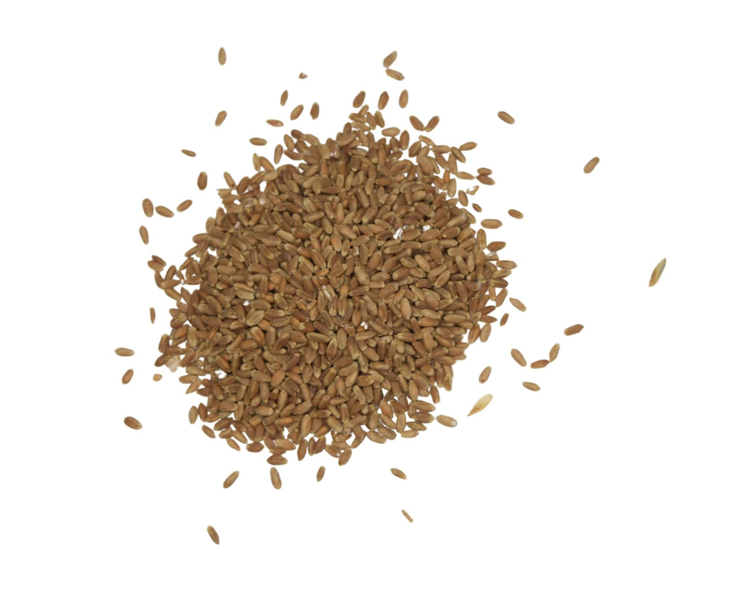 Royal Lee Organics Organic Hard Red Wheat Berries (2 Lbs)