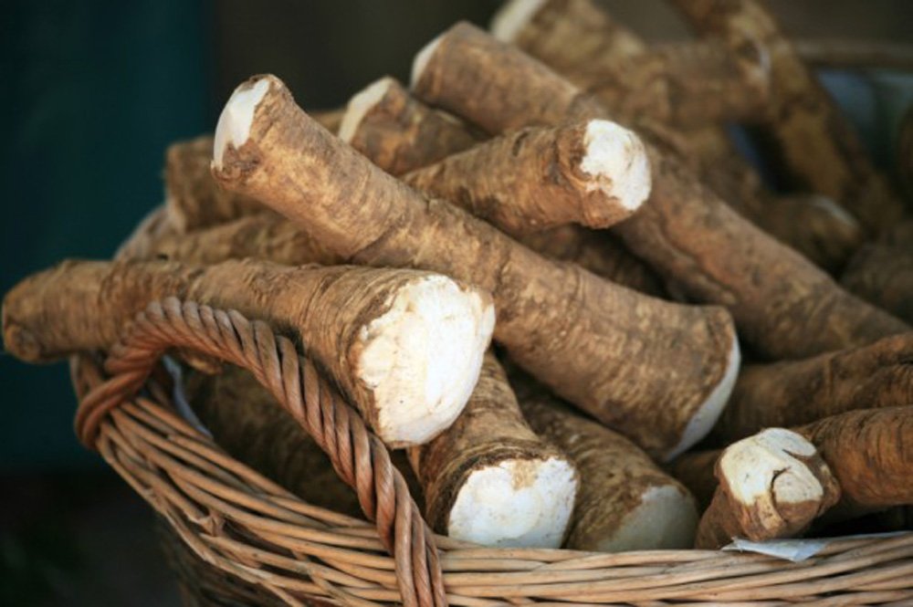 Horseradish Root  1 Pound (Sold by Weight). Great for Planting  Seasoning or Sauces. A taste delight.
