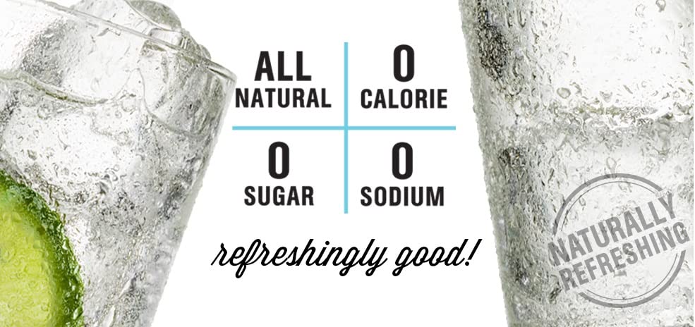 Hal's New York Seltzer Carbonated Lemon Flavored Sparkling Water, Zero Sugar, Zero Calorie, Zero Carbs, 20 Fl Oz (Pack of 24)