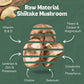 Terraland Shiitake Mushroom Snack Variety Bundle - Original, Wasabi, Spicy, & Sea Salt - Non-Gmo, Vegan - Pack Of 4