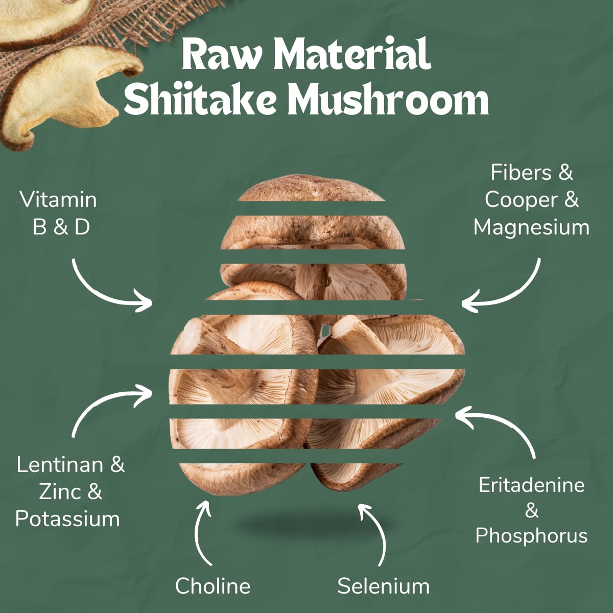 Terraland Shiitake Mushroom Snack Variety Bundle - Original, Wasabi, Spicy, & Sea Salt - Non-Gmo, Vegan - Pack Of 4