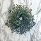 Fresh Eucalyptus Wreath Living Leaves 12 '' [California] Baby Blue Variety [Shipped Overnight] For Front Door Natural Wreath For
