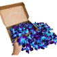Sunne Tropical Fresh Orchid Loose Bloom Flowers 100 Blue, Model: orchidclub-bloom, Perfect for DIY Leis & Decorations