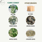 Curry Forest Dried Curry Leaves | 100% Naturally Grown | 20-25 g | Large Size | Product of USA