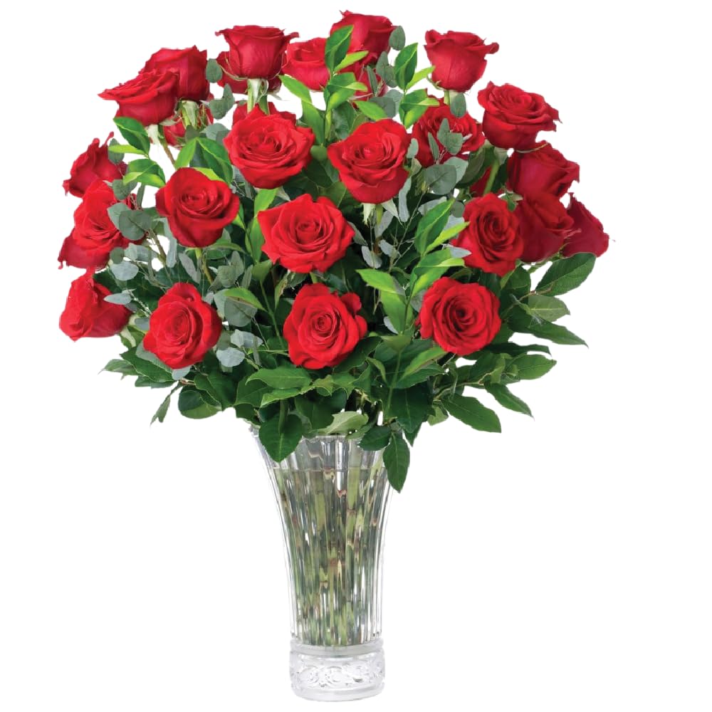 Aquarossa Farms - 24 Red Roses  Fresh Flowers for Delivery  Flowers Fresh Bouquet  Gift Idea for Graduation  Birthday  Anniversary and Special Occasions