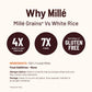 Mille Foxtail Millet Whole Grain | Kangani | Gluten Free | No Chemicals | High Plant Protein And Fibre | Biryani, Lemon, Puliyog