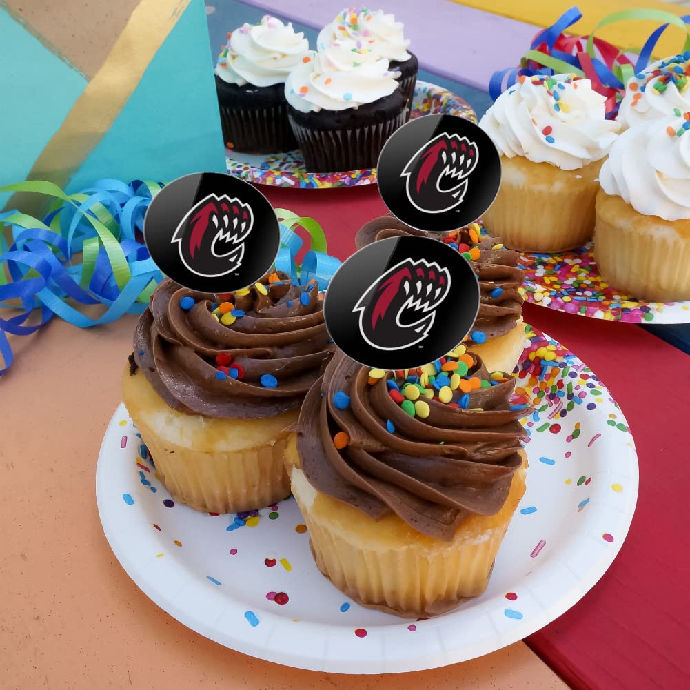 Central Washington University Secondary Logo Cupcake Picks Toppers Decoration Set Of 6