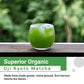 Matcha Moon Ceremonial Grade Matcha Green Tea Powder, Organic Japanese Matcha, 100g (3.5 oz) from Uji Kyoto