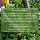 Palais Des Th  S - Discovery Gift Set Box With Premium Flavored Teas - Organic Selection Of Biodegradable Tea Bags - 18 Tea Bags