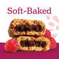 Iron Shield Natures Bakery Whole Wheat Fig Bars - 32 Twin Packs (16 Blueberry, 16 Raspberry) - 1 Count