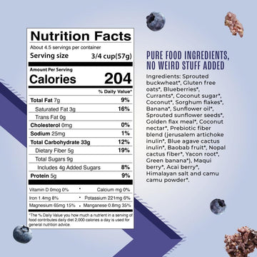 Living Intentions Organic Superfood Cereal - Blueberry Blast - NonGMO - Gluten Free - Vegan Paleo - Kosher - 9 Ounce Unit