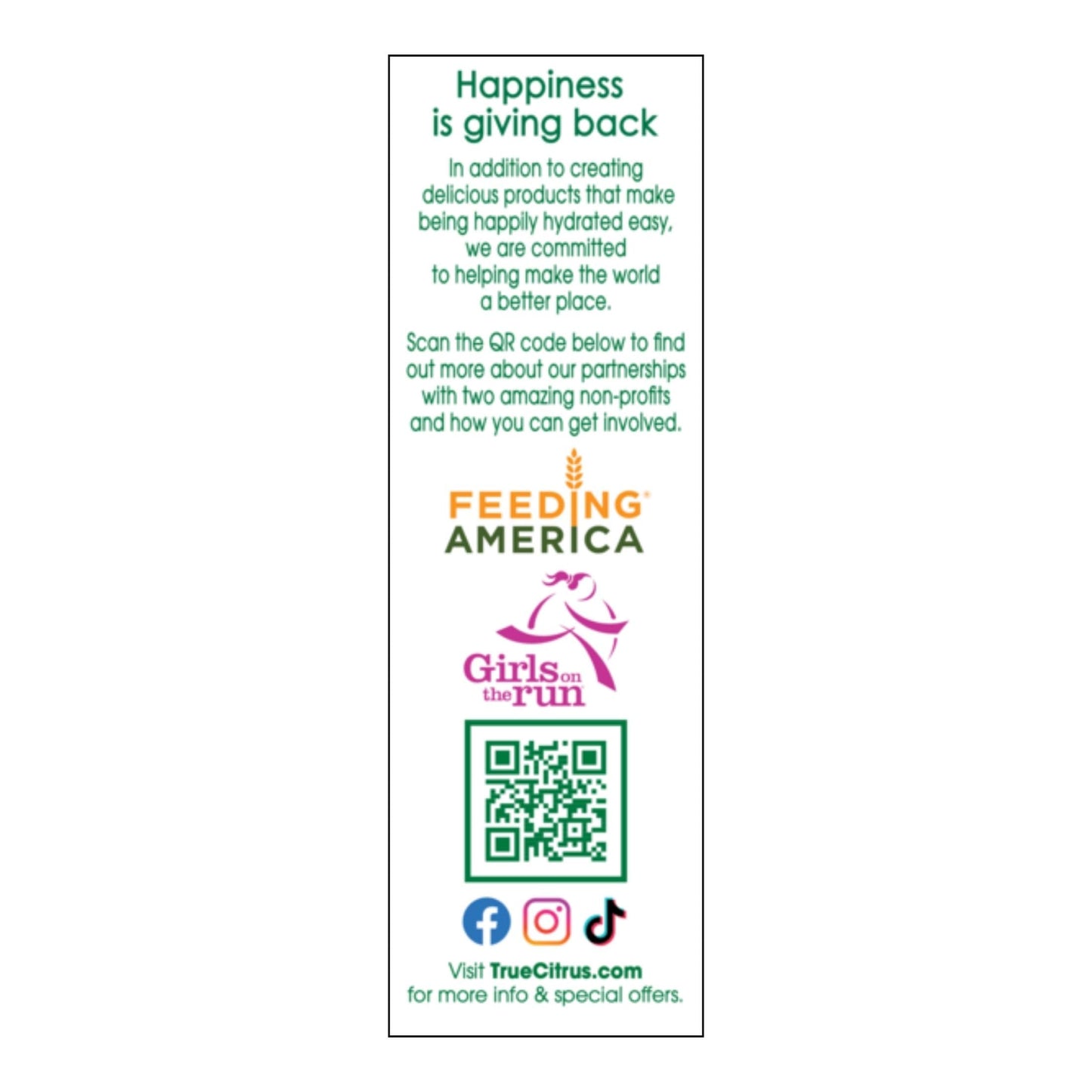 TRUE LEMON Original Lemonade Drink Mix| Made from Real Lemon | No Preservatives, No Artificial Sweeteners, Gluten Free | Water F