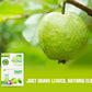 MATCHA DNA Guava Leaf Tea - 20 Individually Wrapped Teabags, 100% Pure Guava Leaves, Natural Herbal Tea, Relaxing & Refreshing