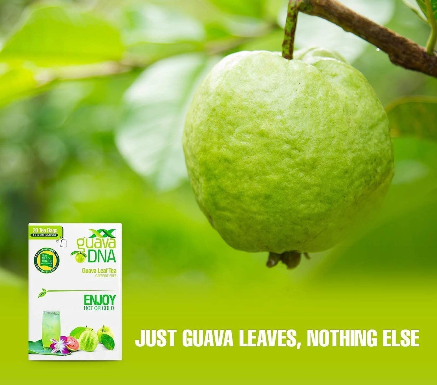 MATCHA DNA Guava Leaf Tea - 20 Individually Wrapped Teabags, 100% Pure Guava Leaves, Natural Herbal Tea, Relaxing & Refreshing